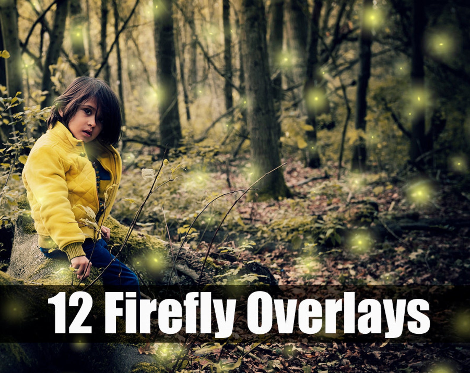 Firefly photoshop. Firefly photoshop