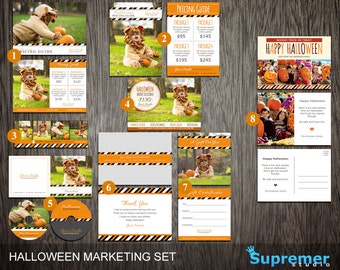 Halloween Marketing Template Set - Photography Mini Sessions, Price List, dvd cd Templates & More - Photoshop PSD MST007