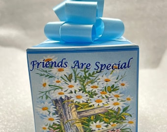 Friends are special Music box wrapped as a gift