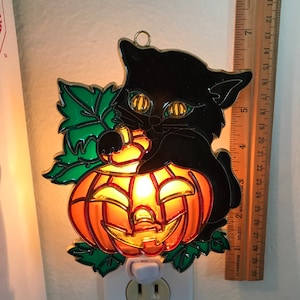 Black kitty with pumpkin Night Light