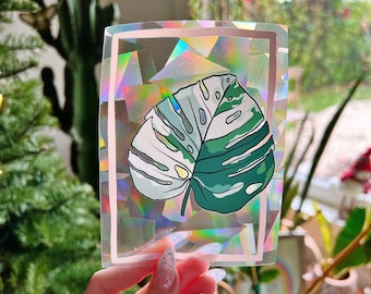 Variegated Monstera Suncatcher | Window Decal | Plant | Rainbow Maker