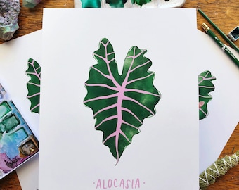 Alocasia | Watercolor | Plant Art | Plant Lady | Leaf