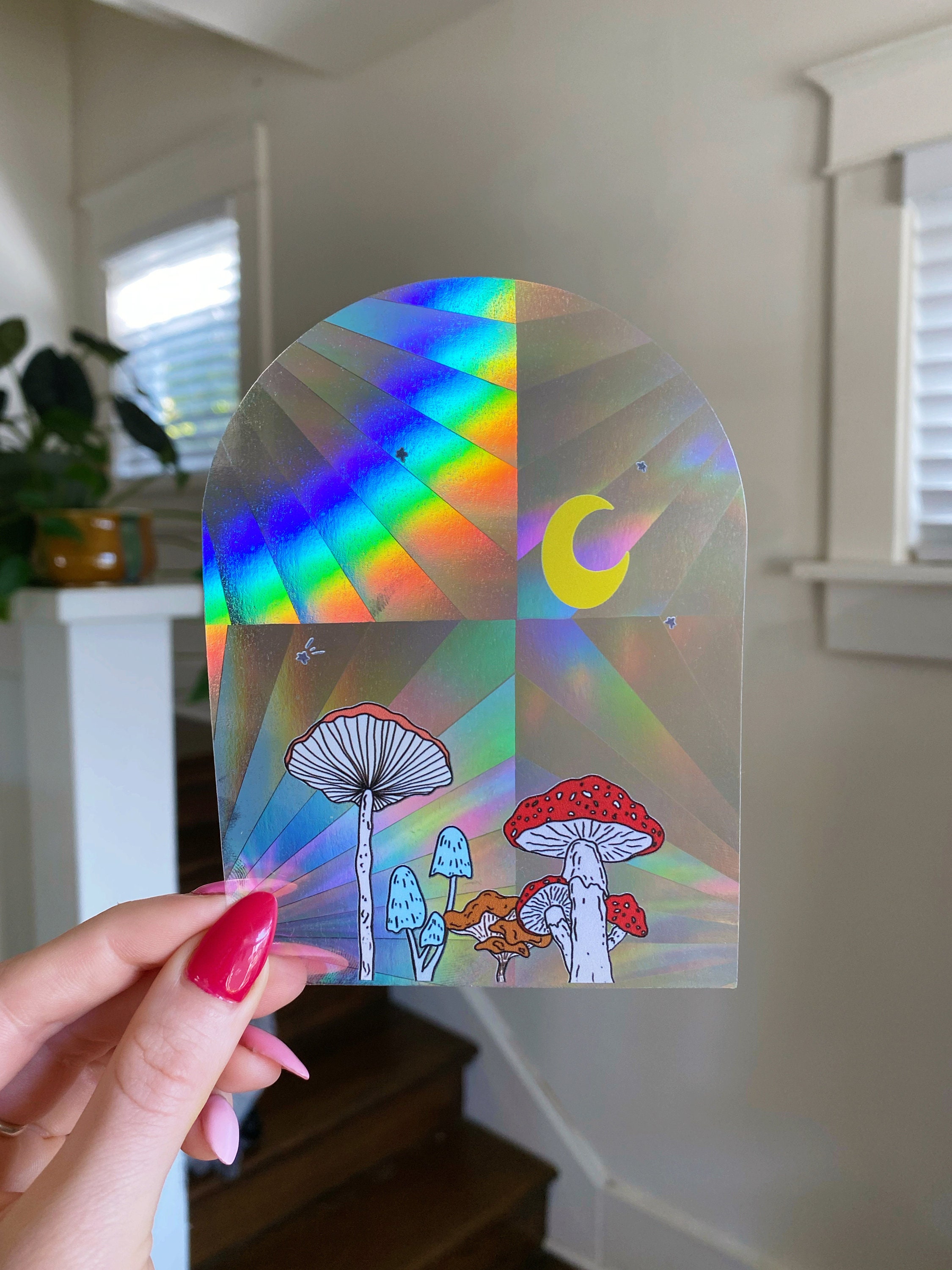 Rainbow Maker Window Decal  The Sun Suncatcher – Mandrake of the Month Club