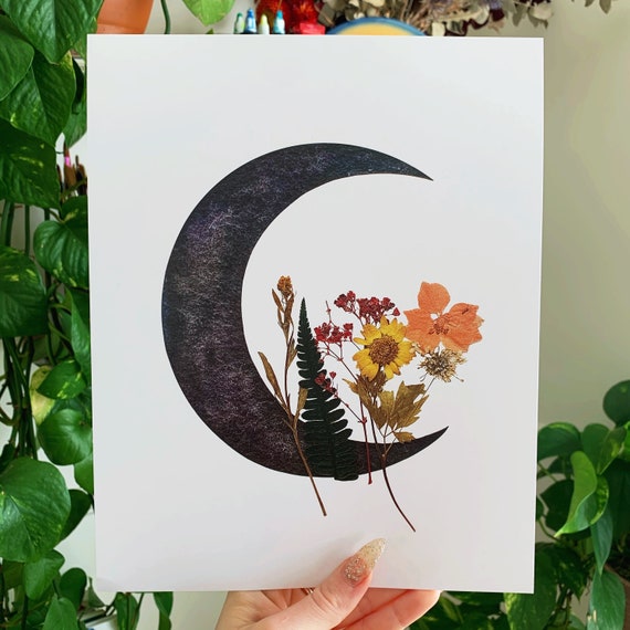 mond blume aquarell gepresste blumen kunst etsy