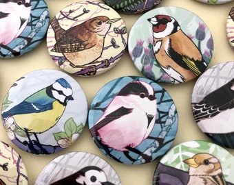 Birdy Badges - set of 6 Badges / Pinback Buttons