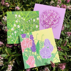 Sweet Peas Greetings Card / blank inside // nature art / flower / spring / summer image 4