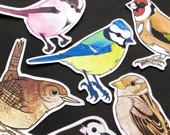 May include: A collection of five colorful bird illustrations, including a bluebird, a pink bird, a brown bird, a white bird, and a yellow bird. The birds are all perched on a black background.