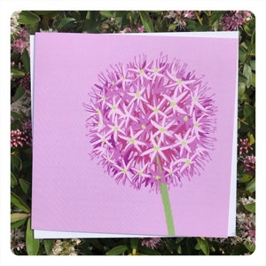 Allium Greetings Card / blank inside // nature art / flower / spring / summer image 1