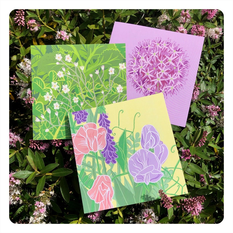 Sweet Peas Greetings Card / blank inside // nature art / flower / spring / summer image 4