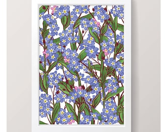 Forget-me-not - Art Print // Illustrated Botanical Wall Art / Illustration Poster / Flowers & Plants Drawing / Home Decor