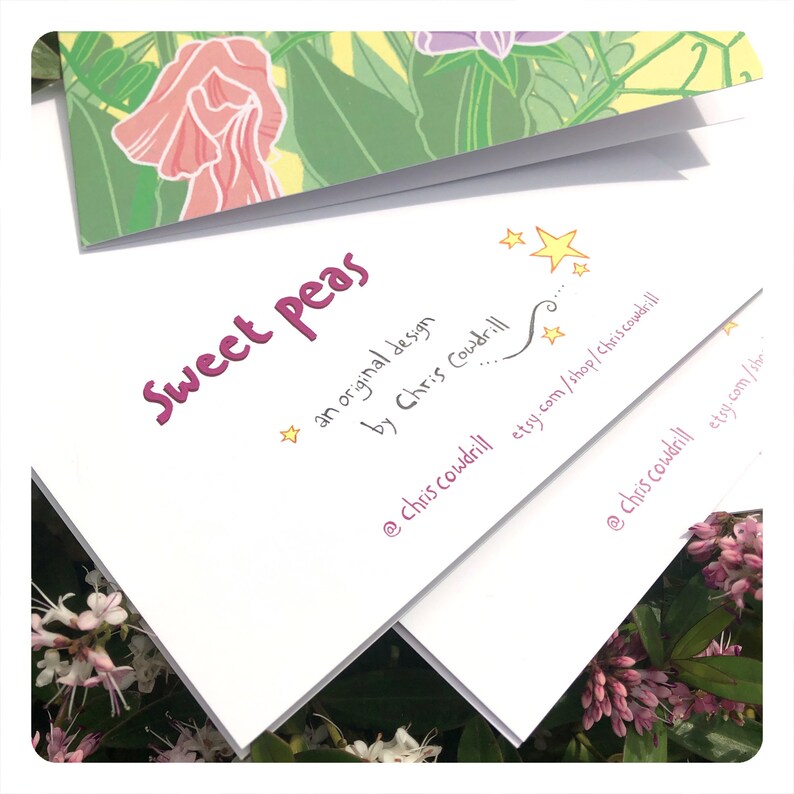 Sweet Peas Greetings Card / blank inside // nature art / flower / spring / summer image 2
