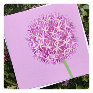 Allium Greetings Card / blank inside // nature art / flower / spring / summer image 3