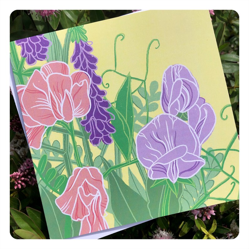 Sweet Peas Greetings Card / blank inside // nature art / flower / spring / summer image 3