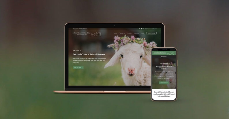 Puede incluir: Un sitio web para Second Chance Animal Rescue, con un cordero que lleva una corona de flores en un campo verde. El sitio web se muestra en una computadora port&aacute;til y un tel&eacute;fono m&oacute;vil.