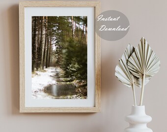 Forest Print | Printable Forest | Forest Road Photo | Nature Photography | Instant Download | Nature Print | Wall Art | Instant Download