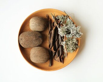 Palma essiccata, baccelli di semi e licheni essiccati per scopi decorativi / Materiale per ghirlande / riempitivo naturale / Decorazioni per riempitivi per ciotole