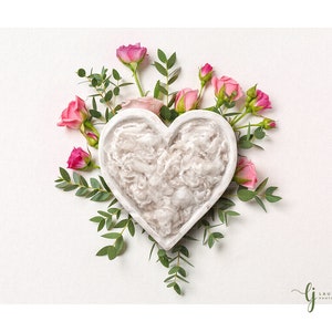 Newborn digital background love heart Valentine&#39;s Day floral rose bouquet flower pink cupid cute mint bowl overhead unique backdrop boy girl