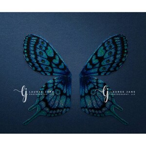 Butterfly wings newborn digital backdrop, newborn wings, unique, blue, teal, moth, newborn digital background, composite, instant, boy, girl
