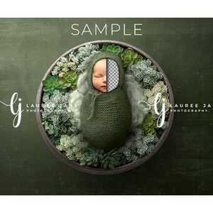 May include: A newborn baby is swaddled in a green fabric and placed in a wooden bowl surrounded by green succulents. The image is labeled "SAMPLE" and includes the text "LAUREE JANE PHOTOGRAPHY, LLC".