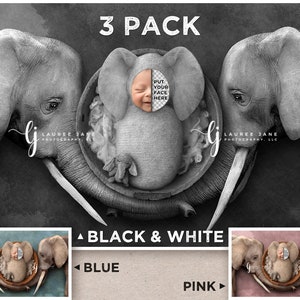 3 PACK Elephant newborn digital backdrop trunk black BW bowl love baby African bowl overhead pop png overlay background composite girl boy