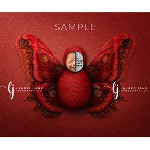 Butterfly newborn digital background wrapped unique transparent transparency png moth jewel ruby red backdrop composite poppet boy girl