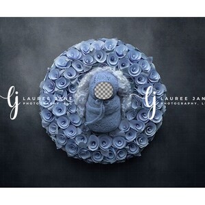 Transparent newborn digital backdrop unique blue wreath wrap face-swap boy overlay newborn digital background newborn composite