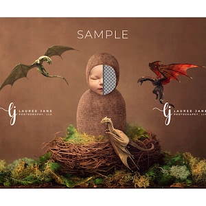 Newborn digital backdrop, dragon, wyvern, nest, wrapped, moss, unique, transparent, newborn digital background, PNG, composite, girl, boy