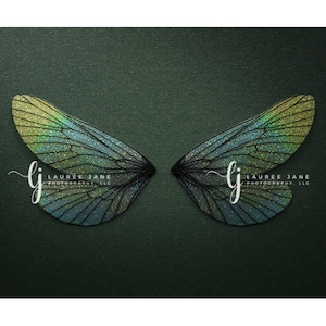 Butterfly newborn digital backdrop, newborn wings, unique, green, dragonfly, newborn digital background, composite, instant, wing, girl, boy