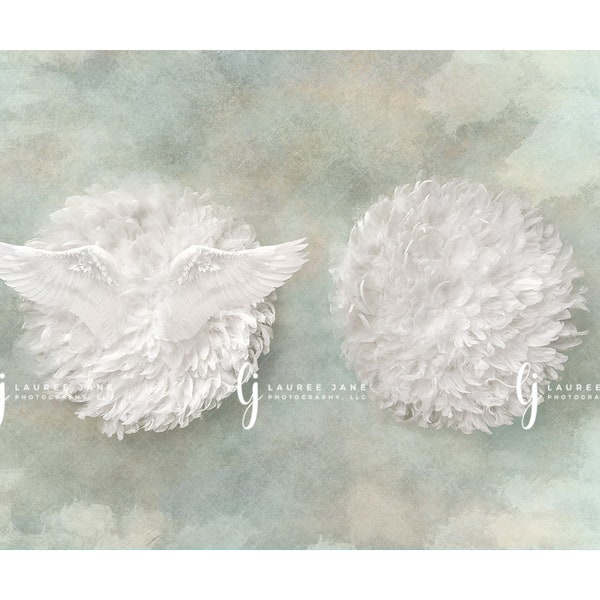 Newborn digital background angel wings feather lost twin clouds sky blue heaven loss dove unique backdrop composite download boy girl