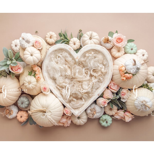 Newborn digital backdrop pumpkins pumpkin pink heart bowl rose floral mint fall autumn lace background composite  instant download  girl