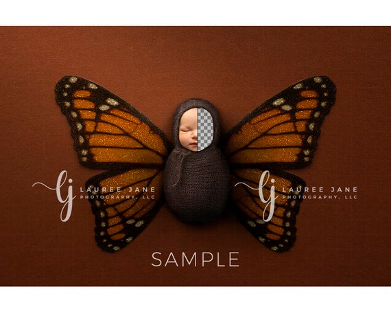 Armenia butterfly newborn digital background wrapped monarch  Armenian flag transparency face hole pop backdrop composite boy girl