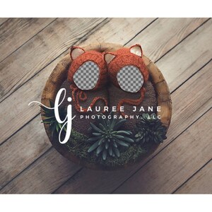 May include: A wooden bowl filled with greenery and two orange knitted baby booties with a white background. The text "LAUREE JANE PHOTOGRAPHY, LLC" is printed below the booties.