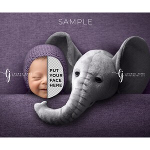 Op de afbeelding: Een paarse en grijze knuffel olifant met een babygezicht dat achter zijn hoofd vandaan kijkt. De baby draagt ​​een paarse gebreide muts. De tekst "PUT YOUR FACE HERE" staat op het gezicht van de baby.