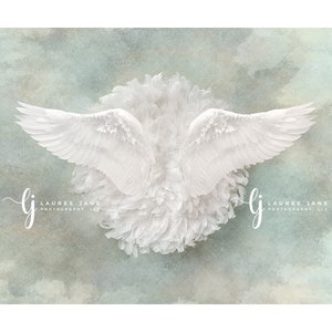 Puede incluir: Alas de ángel blancas con una textura de plumas sobre un fondo de acuarela azul claro y verde. El texto "Lauree Jane Photography LLC" es visible en las esquinas inferiores de la imagen.