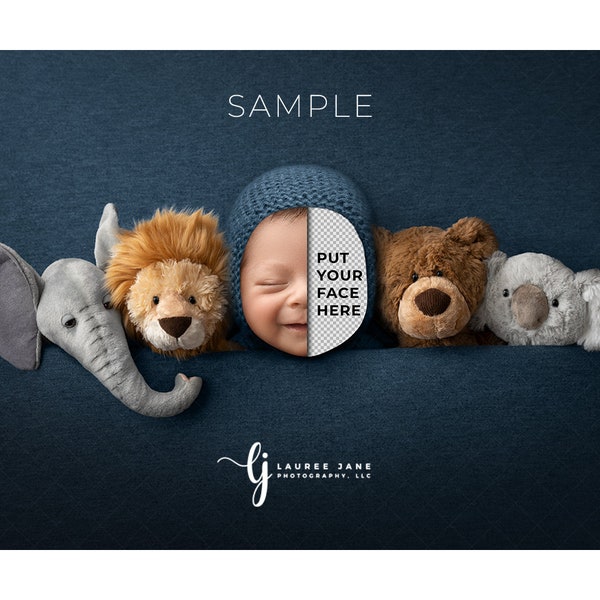 Blue newborn digital backdrop background animal elephant lion teddy bear koala wrap sack bonnet navy  cute png pop unique download boy girl