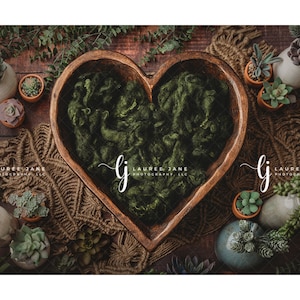 May include: A wooden heart-shaped bowl filled with green moss, surrounded by small potted succulents and greenery on a rustic wooden background.