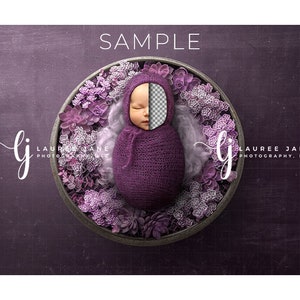 Newborn digital background rainbow wrapped wreath pink unique succulent transparent newborn digital backdrop composite png girl