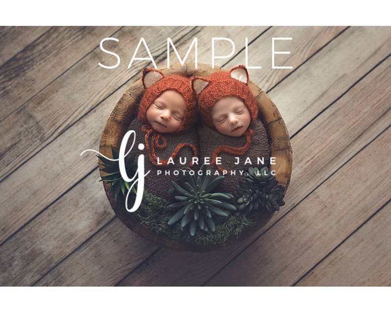 May include: Two infants wearing orange fox hats are lying in a wooden bowl filled with green plants. The bowl is on a wooden surface. The text "SAMPLE LAUREE JANE PHOTOGRAPHY LLC" is visible above the bowl.
