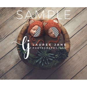 May include: Two infants wearing orange fox hats are sleeping in a wooden bowl filled with green plants. The bowl is on a wooden surface. The text "SAMPLE LAUREE JANE PHOTOGRAPHY LLC" is visible in the image.