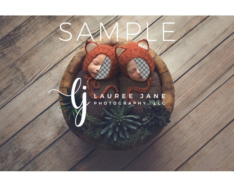 May include: Two infants wearing orange fox hats are sleeping in a wooden bowl filled with green plants. The bowl is on a wooden surface. The text "SAMPLE LAUREE JANE PHOTOGRAPHY LLC" is visible in the image.