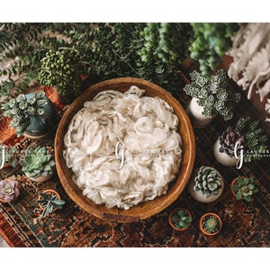 Boho newborn digital backdrop macrame rustic shabby chic succulent plants dreamcatcher fluff bowl unique background composite boy girl