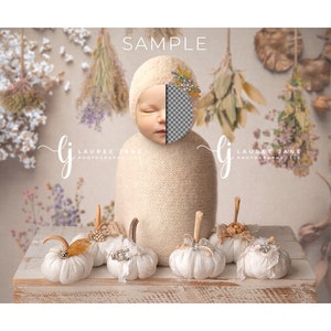 Newborn digital backdrop, fall, autumn, pumpkin, floral, flower, unique, png, newborn digital background, composite, instant download, girl