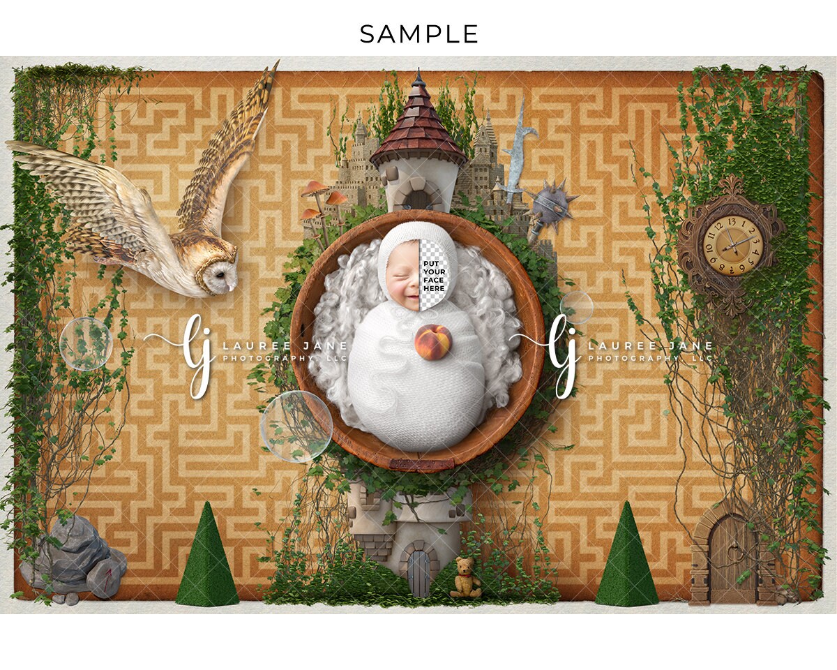 Labyrinth inspired newborn digital backdrop maze owl castle goblin whimsy fantasy unique bowl fluff 