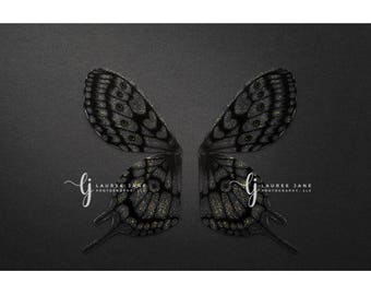 Butterfly wings newborn digital backdrop, newborn wings, unique, grey, black,  monarch, newborn digital background, composite, boy, girl