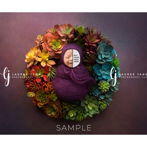 May include: A newborn baby is swaddled in a purple wrap and placed in a circle of colourful succulents. The baby's face is obscured by a blank circle with the text "Put your face here". The background is a dark purple.