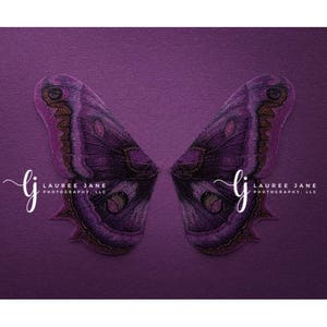 Butterfly wings newborn digital backdrop, newborn wings, butterfly, unique, purple, newborn digital background, composite, instant, girl