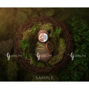 May include: A newborn baby is nestled in a brown twig nest with green moss. The baby is wrapped in a brown and white blanket. The baby's face is covered with a white circle with the text "Put your face here".