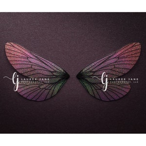 Butterfly newborn digital backdrop, newborn wings, unique, dragonfly, pink, newborn digital background, composite, instant, wings, girl
