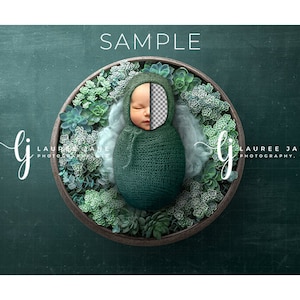 Newborn digital background rainbow wrapped wreath unique emerald succulent transparent newborn shamrock backdrop composite png girl boy