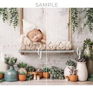 Puede incluir: Un bebé recién nacido durmiendo en una hamaca de macramé con un fondo gris. La hamaca está decorada con vegetación y suculentas. El texto "Pon a tu bebé aquí" está escrito en el fondo.